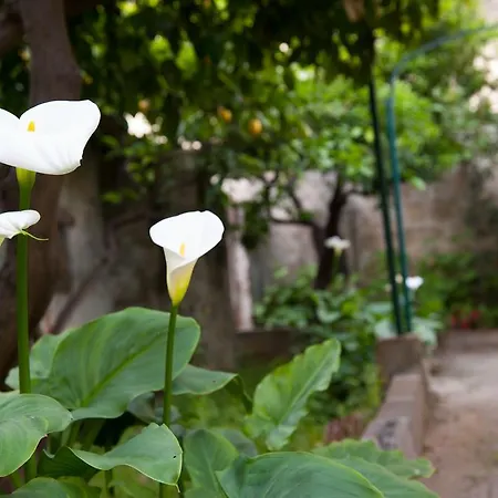 Bed and Breakfast Annapaola