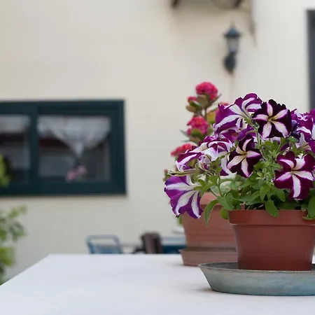 Bed and Breakfast Annapaola Lequile